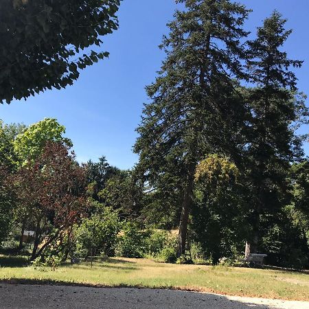 Charmant F1 Avec Terrasse Et Vue Sur Jardin Arbore - Fraicheur Naturelle Du Rez De Jardin - Parking 贝勒里夫·苏尔·阿列尔 外观 照片