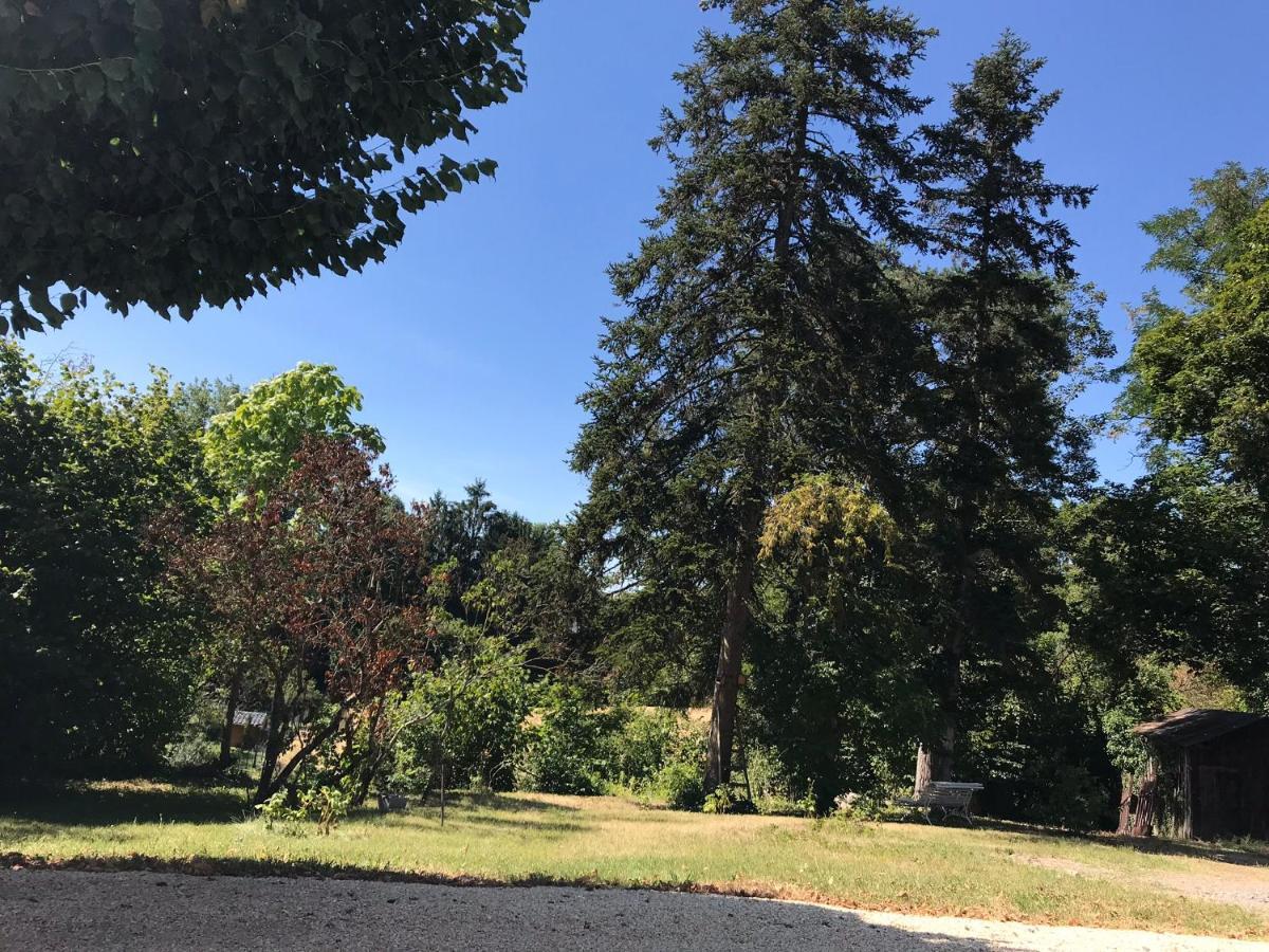 Charmant F1 Avec Terrasse Et Vue Sur Jardin Arbore - Fraicheur Naturelle Du Rez De Jardin - Parking 贝勒里夫·苏尔·阿列尔 外观 照片